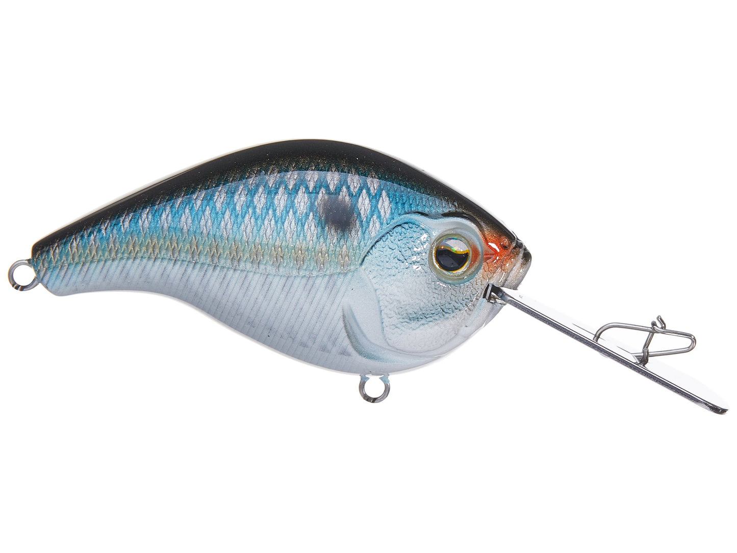 13 Fishing Jabber Jaw 60 (Natty Light) (7'-9')